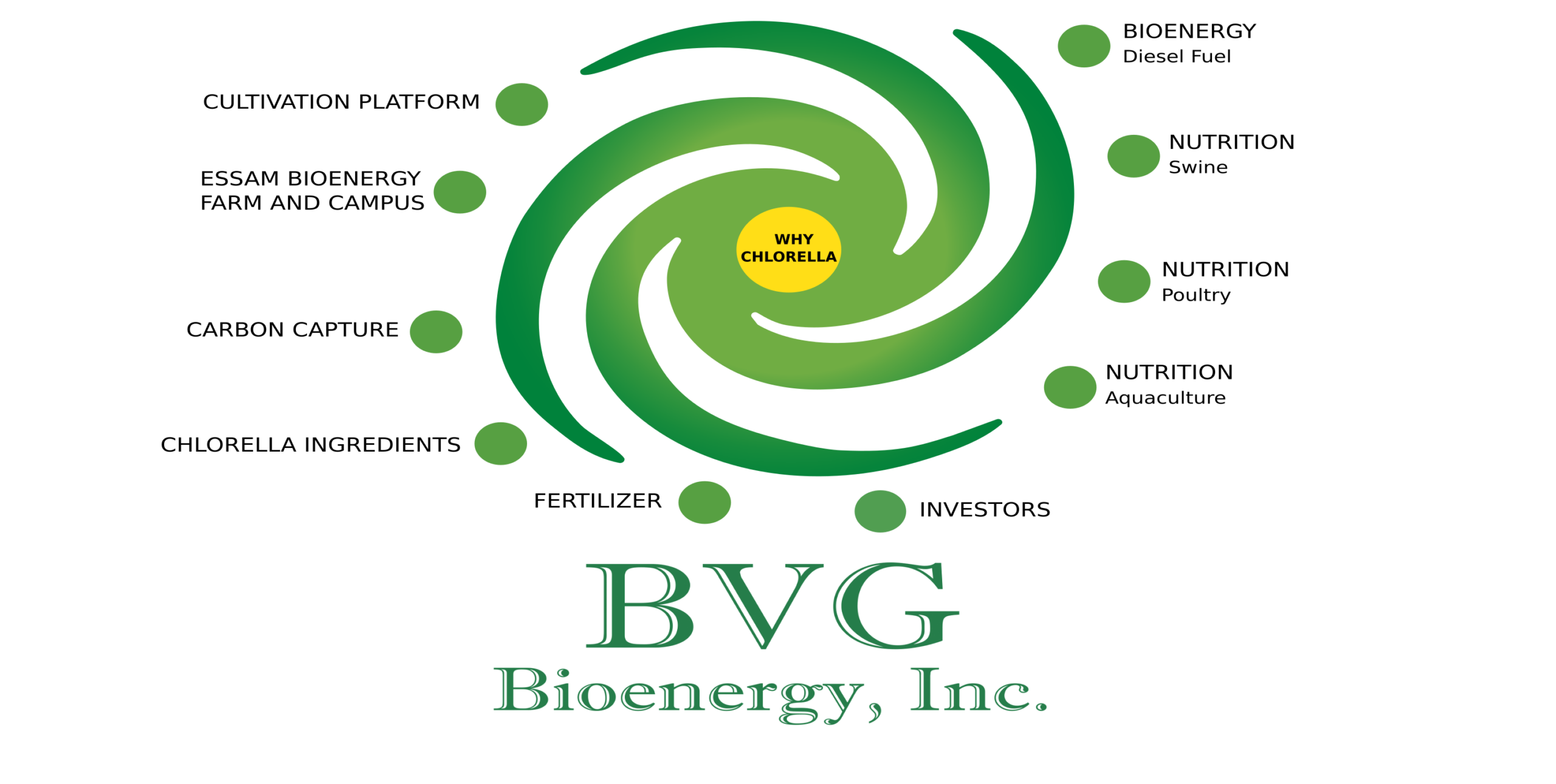 BVG BioEnergy, Inc. cultivation, bioenergy, nutrition and sustainability platform